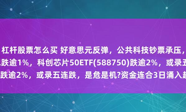 杠杆股票怎么买 好意思元反弹，公共科技钞票承压，英伟达重挫！寒武纪跌逾1%，科创芯片50ETF(588750)跌逾2%，或录五连跌，是危是机?资金连合3日涌入超2.3亿元